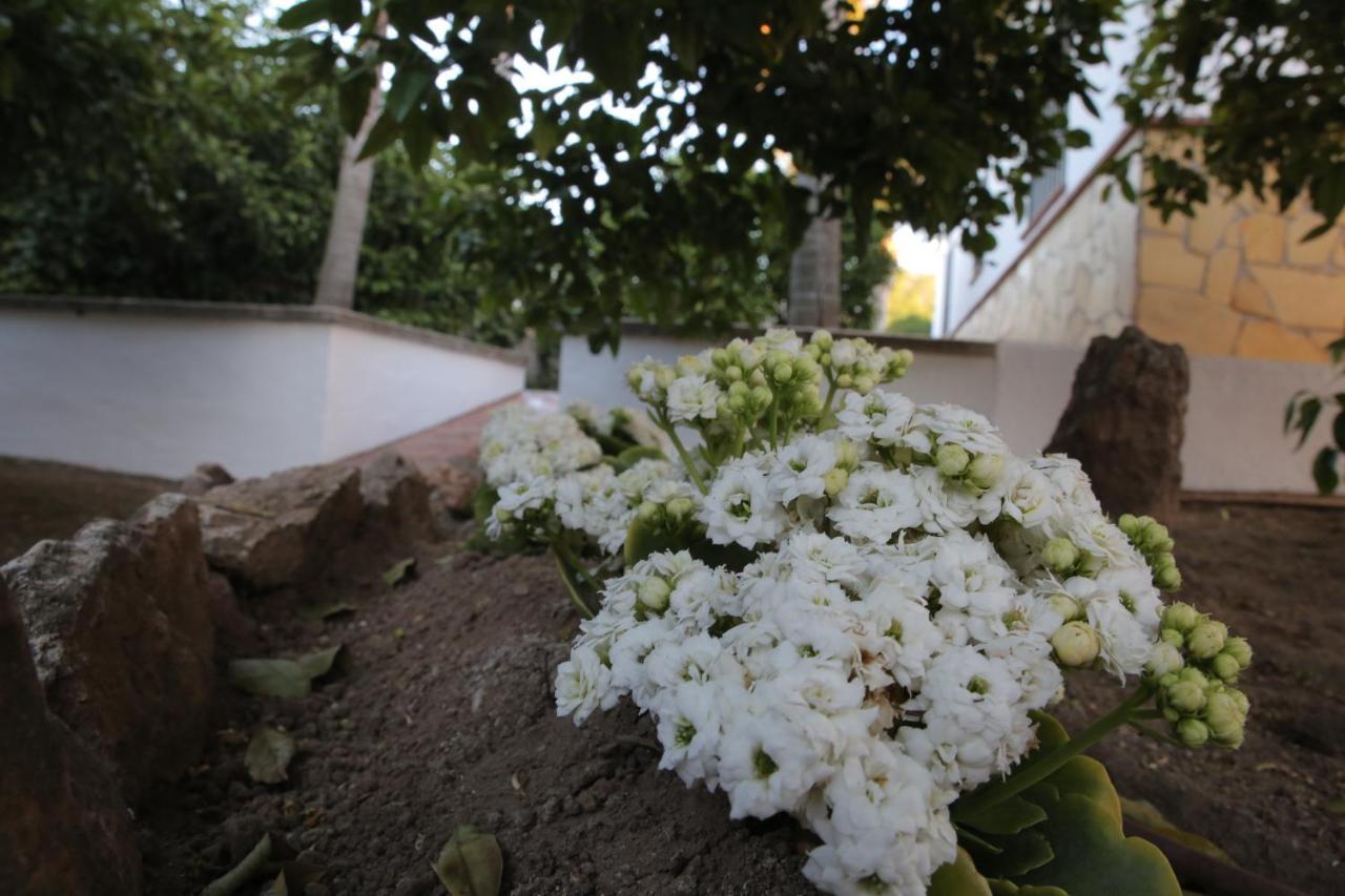 Pensjonat Casa Rural Tipica Andaluza, Wifi,Piscina, Barbacoa, Aire Acondicionado, 5Min Centros Alhaurín el Grande Zewnętrze zdjęcie