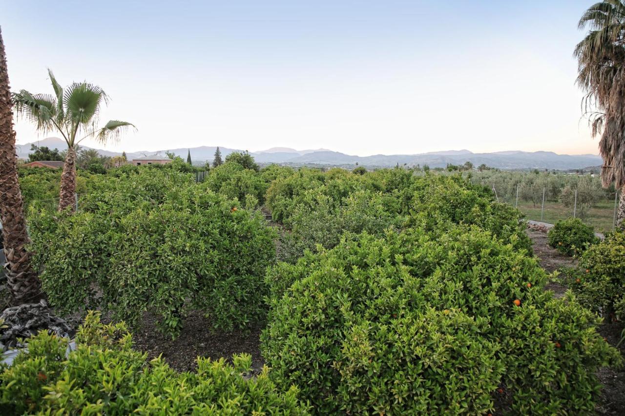 Pensjonat Casa Rural Tipica Andaluza, Wifi,Piscina, Barbacoa, Aire Acondicionado, 5Min Centros Alhaurín el Grande Zewnętrze zdjęcie